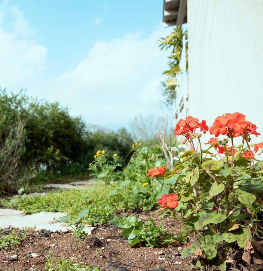 Beautiful Apartment In Kibbutz Yifat Yif'at ภายนอก รูปภาพ