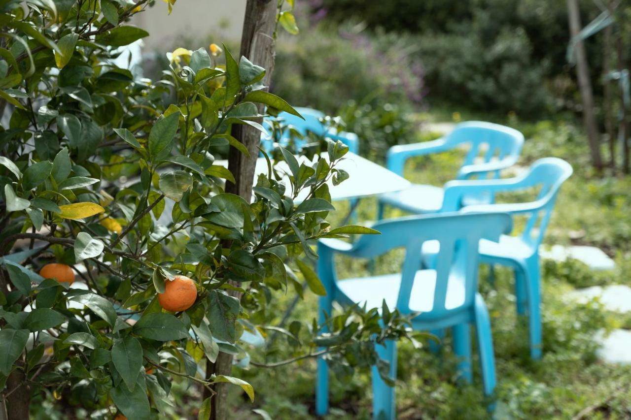 Beautiful Apartment In Kibbutz Yifat Yif'at ภายนอก รูปภาพ